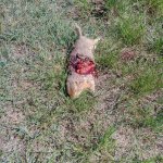 IMG_20160522_1049200.jpg