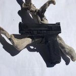 S&W40.jpg