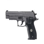 Sig Legion.jpg