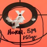 Hornady American 155 10 rounds.jpeg