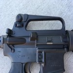 colt_mex_le (8).jpg colt_mex_le (8).jpg