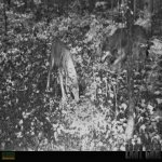 HUNT0005 (2).jpg