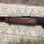 IMG_9911.jpg IMG_9911.jpg