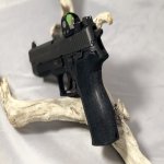 sig p226rx.jpg