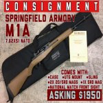 cons. M1A JPEG.jpg