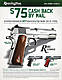 250px-2015-SpringRebate-Rem-handgun-Poster.jpg