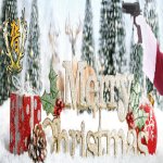 merry christmas.jpg