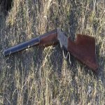 stevens 44 in field.jpg stevens 44 in field.jpg