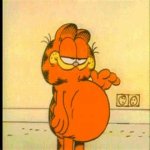 1garfield.jpg