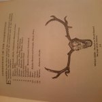 20190103_161651.jpg 20190103_161651.jpg