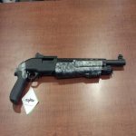 Skull_full_Shorty_18.5[1].jpg