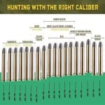 Best Calibre 45-70.JPG