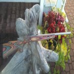 20180903_184330.jpg