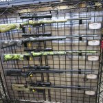 IMG_0241[1].jpg