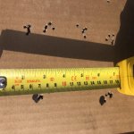 8B55E366-B1D2-4941-A263-A3A7234B9728.jpg