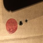 D33C64DF-B078-462A-A5F2-4C9E033E6C06.jpg