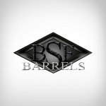BSF logo.jpg