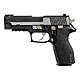 p227 equinox with e2 grips.jpg
