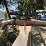 1B859826-8526-4E85-A224-512DCCFC92AD.jpg 1B859826-8526-4E85-A224-512DCCFC92AD.jpg