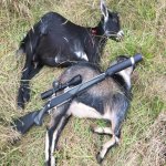 IMG_0815.jpg IMG_0815.jpg