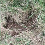 IMG_0819.jpg IMG_0819.jpg