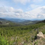 IMG_0838.jpg