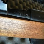 carcano (2).jpg