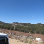 IMG_2494.jpg