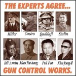 the-experts-agree-gun-control-works-1.jpg