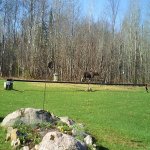 HUNT0217 small.jpg