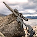 mpr.....jpg mpr.....jpg