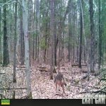 HUNT0001sm.jpg