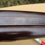 DSC02415.jpg