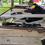 Sauer2.jpg