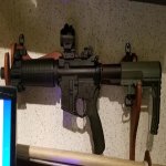 Shorty_AR.jpg
