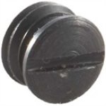 ps plug screw.jpg ps plug screw.jpg