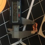 C50D40A7-8547-4464-9CB7-1BBACD04AAF8.jpg
