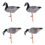 geese.jpg