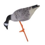goose2.jpg goose2.jpg