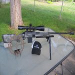 IMG_2775.jpg