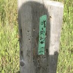 fullsizeoutput_279.jpg fullsizeoutput_279.jpg