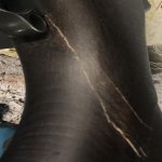 Garand damage2 small.jpg
