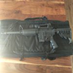 bushmaster.jpg bushmaster.jpg