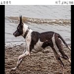 Screenshot_2019-02-11-19-46-35.jpg Screenshot_2019-02-11-19-46-35.jpg