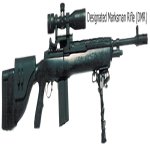 DMR.jpg DMR.jpg