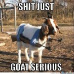 ####-just-goat-serious.jpg