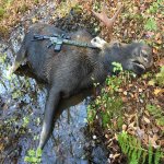 92A77C51-6035-4920-8882-DB221F96E320.jpg 92A77C51-6035-4920-8882-DB221F96E320.jpg