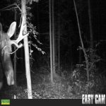 moose eye small.jpg