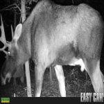 HUNT0005small.jpg