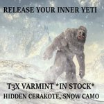 2yeti.jpg
